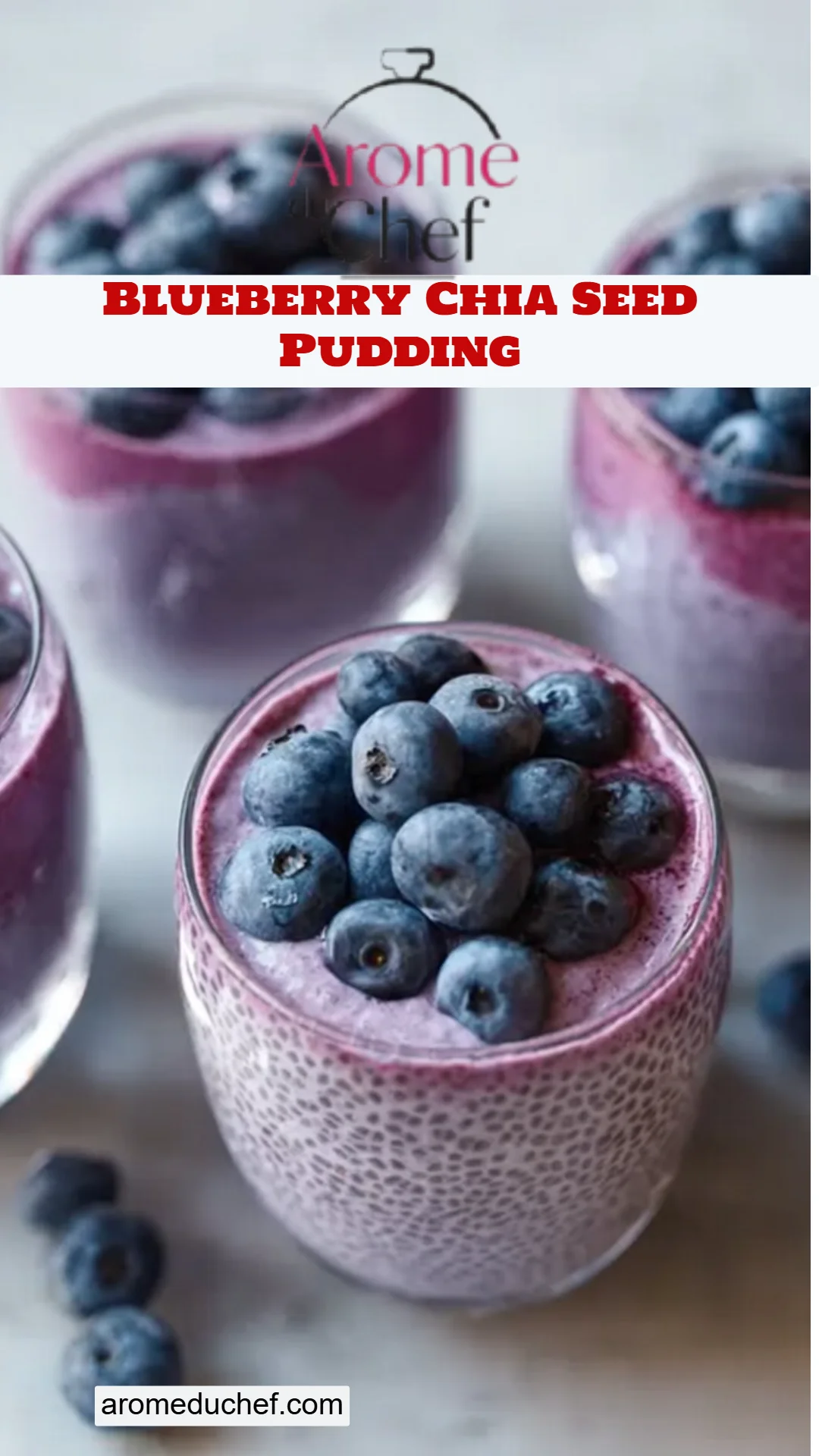 Blueberry Chia Seed Pudding