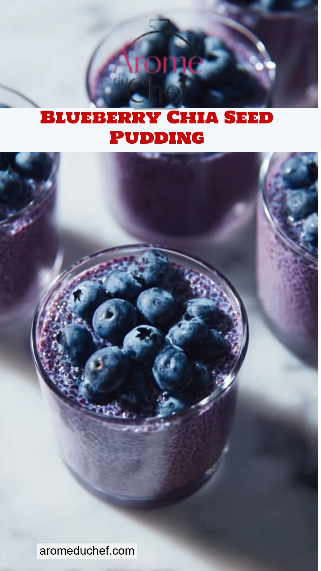 Blueberry Chia Seed Pudding