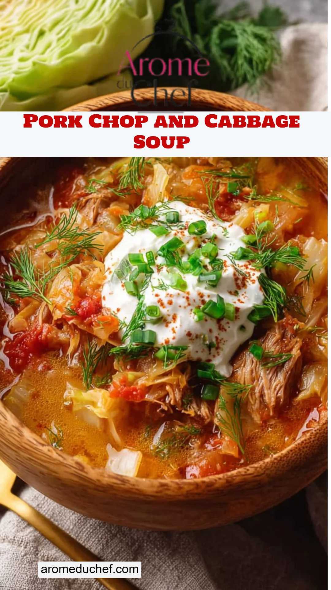 Pork Chop and Cabbage Soup