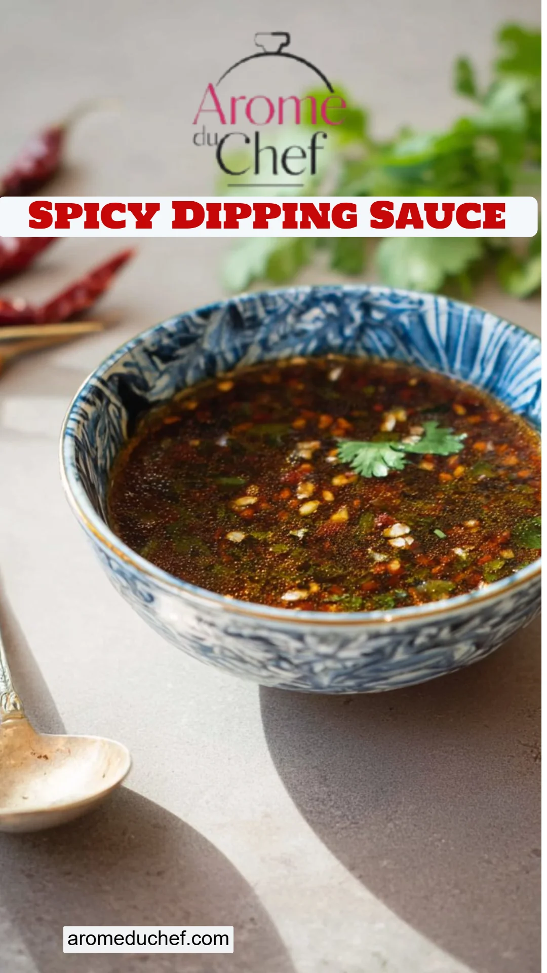 Spicy Dipping Sauce