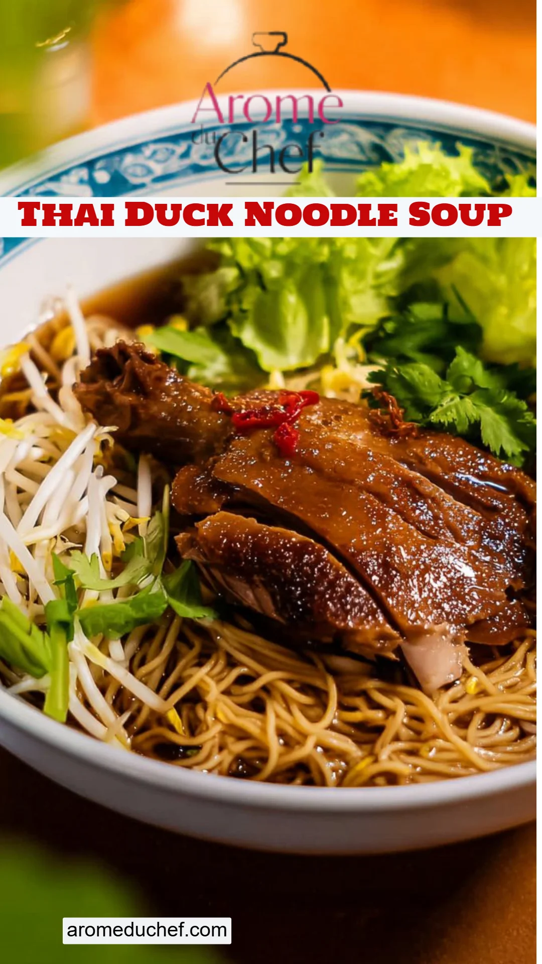 Thai Duck Noodle Soup
