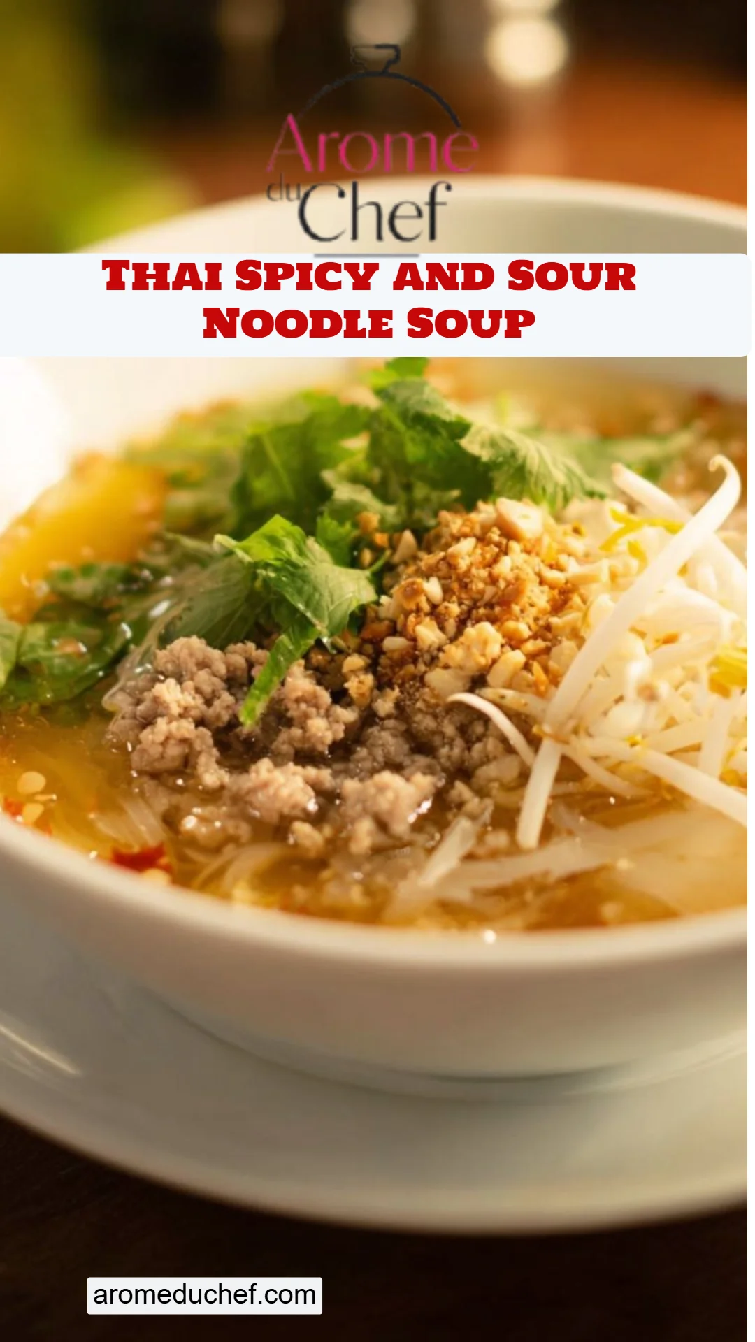 Thai Spicy and Sour Noodle Soup