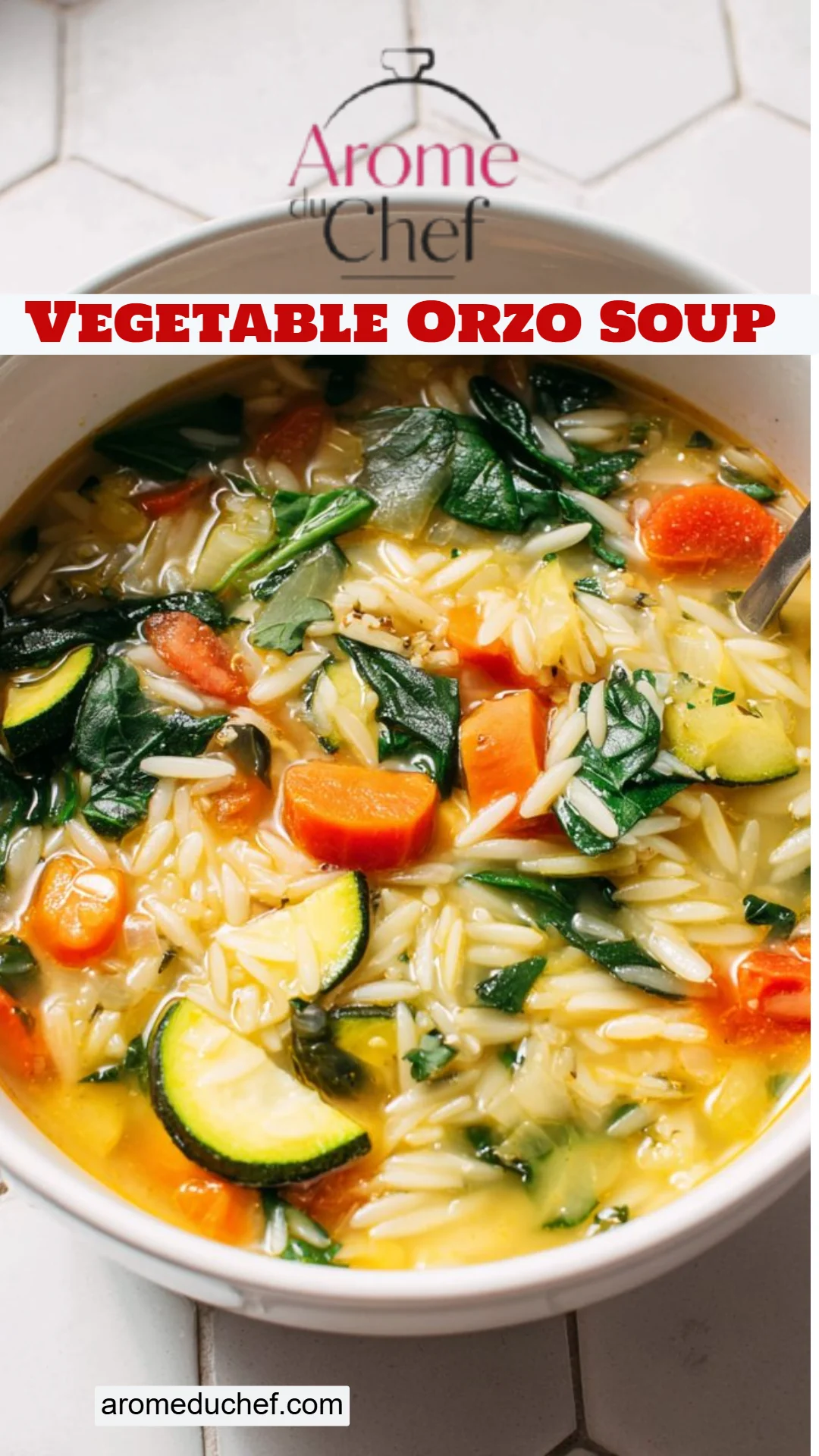Vegetable Orzo Soup